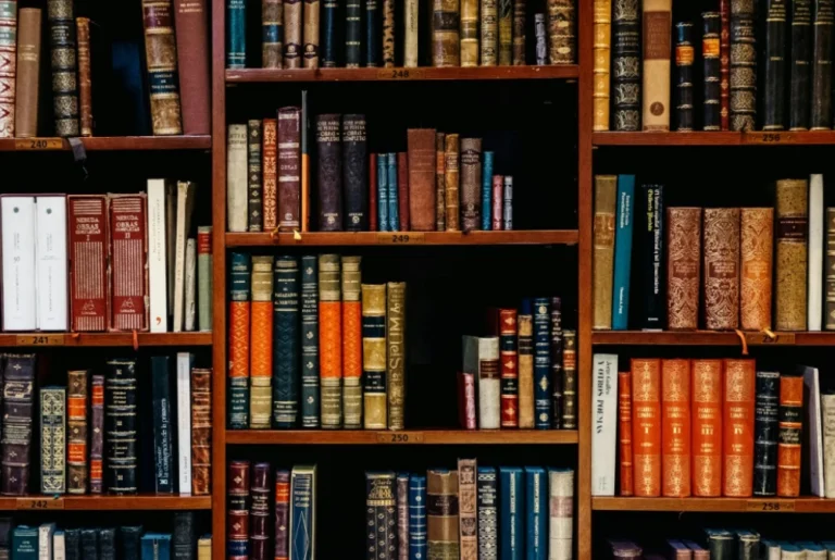 frame_520
